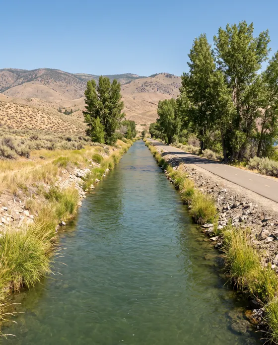 Illustration: a straight river channel with grassy banks and a paved path beside it under tall cottonwoods, dry hills ahead.